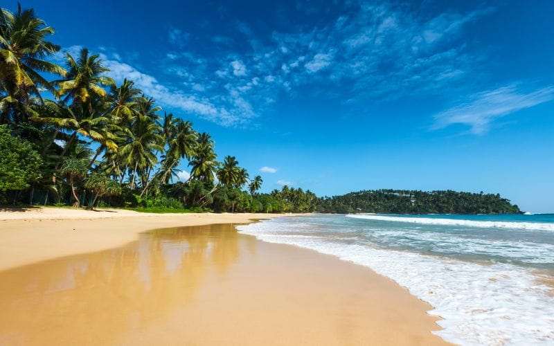 Bentota – River Safaris and Lagoon Life