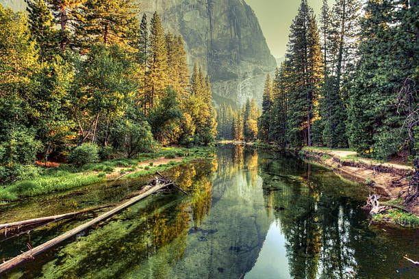 Yosemite Valley Landscape and River, California Yosemite Valley view Breathtaking Natural Beauty stock pictures, royalty-free photos & images