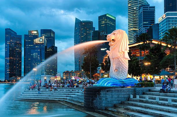 Merlion Singapore, Singapore - December 22, 2013: The Merlion fountain lit up at night in Singapore. Singapore  stock pictures, royalty-free photos & images