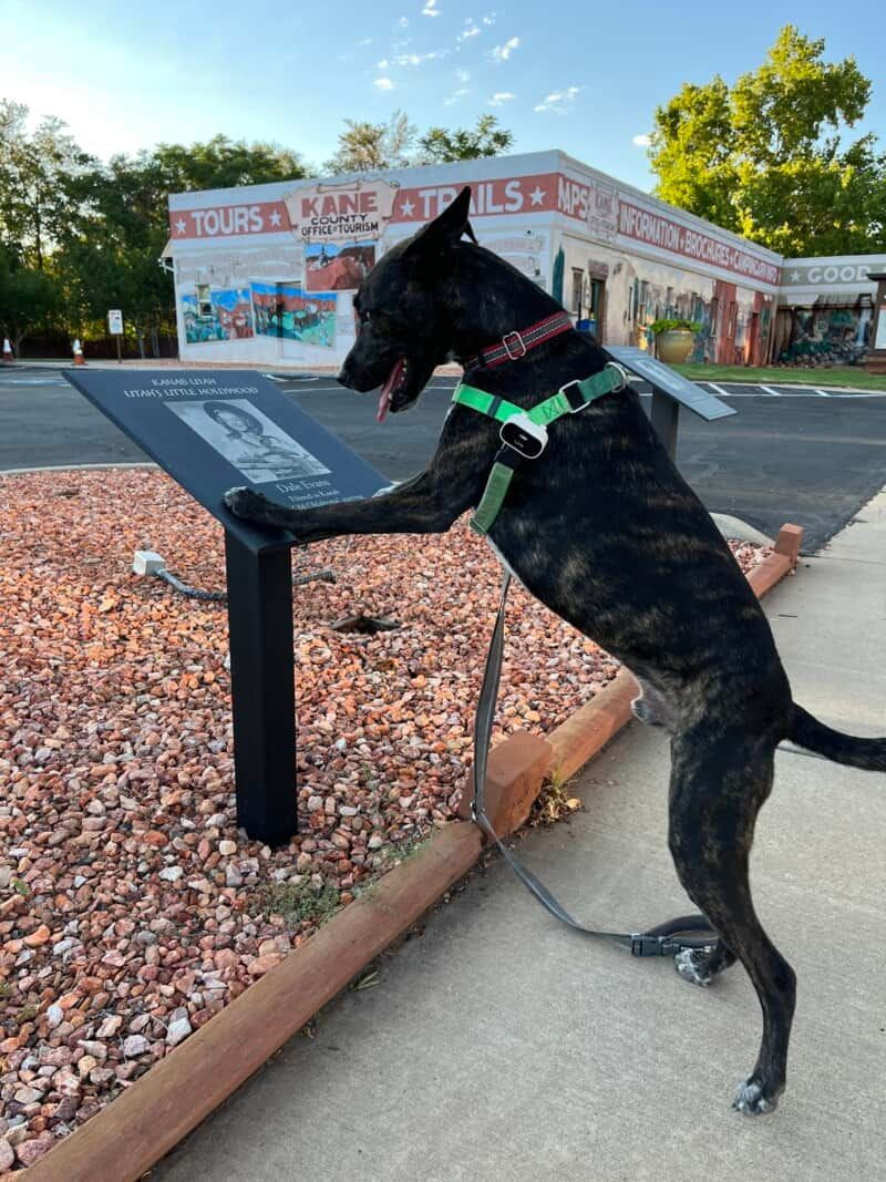 Pet-Friendly Kanab: Explore Southern Utah