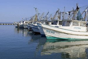 Boats - Photo by Bryan Tumlinson