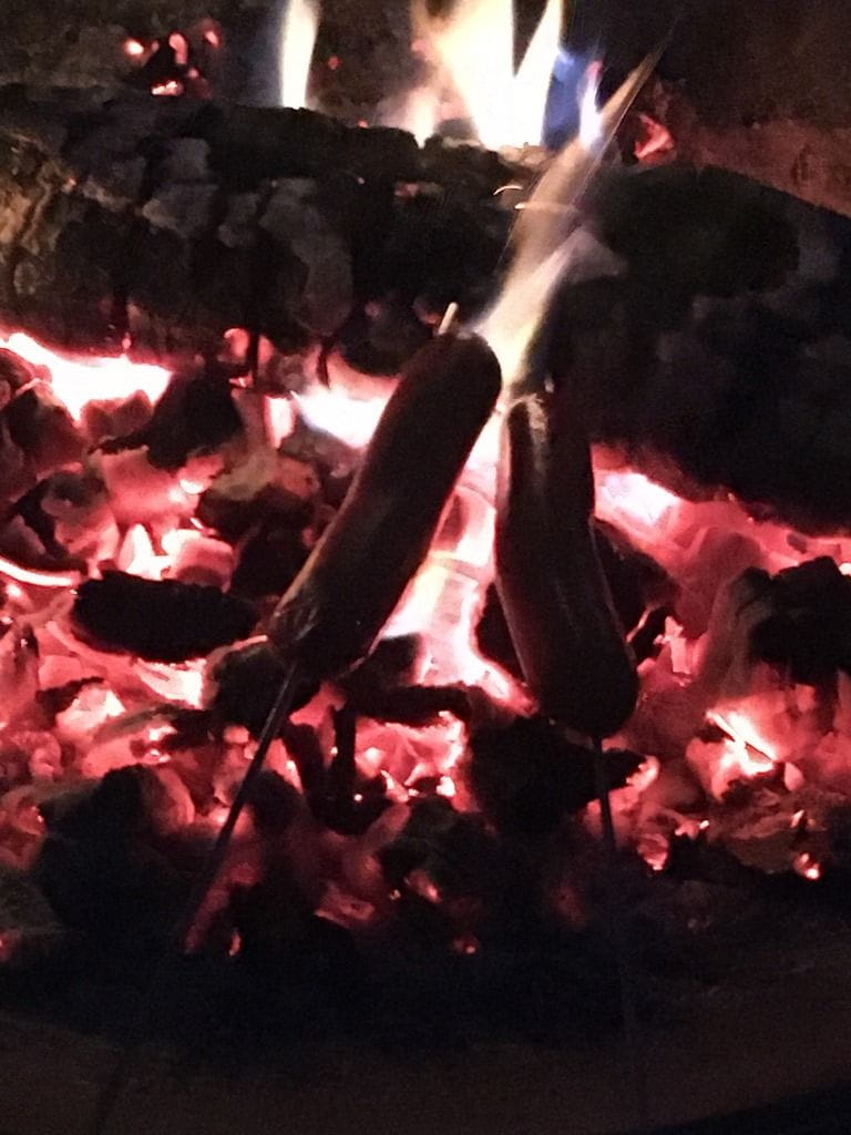 Campfires can be one of the best parts of camping, or have dire consequences