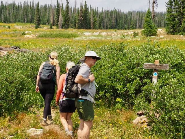 Hikers setting out on the CDT near Buffalo Pass