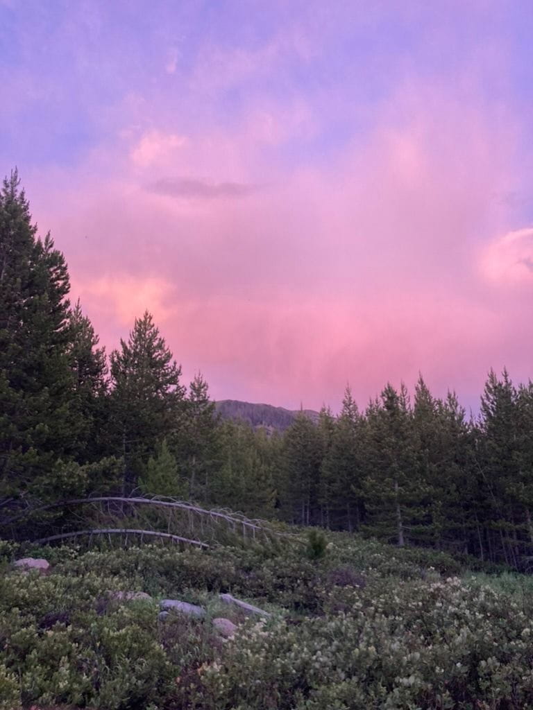 A purple sunset over wildflowers on a secluded trail in North Park