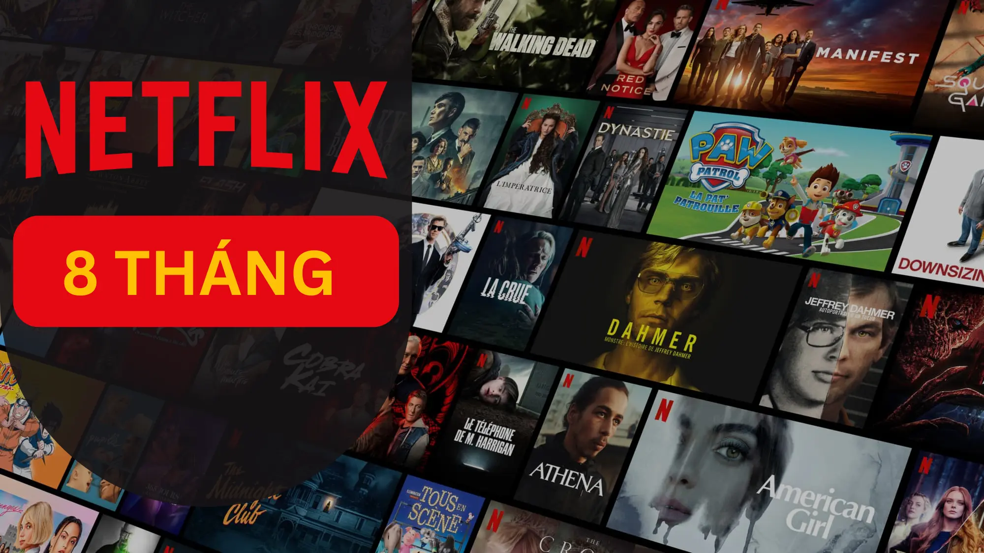 Tài khoản Netflix Premium 4K 8 Tháng