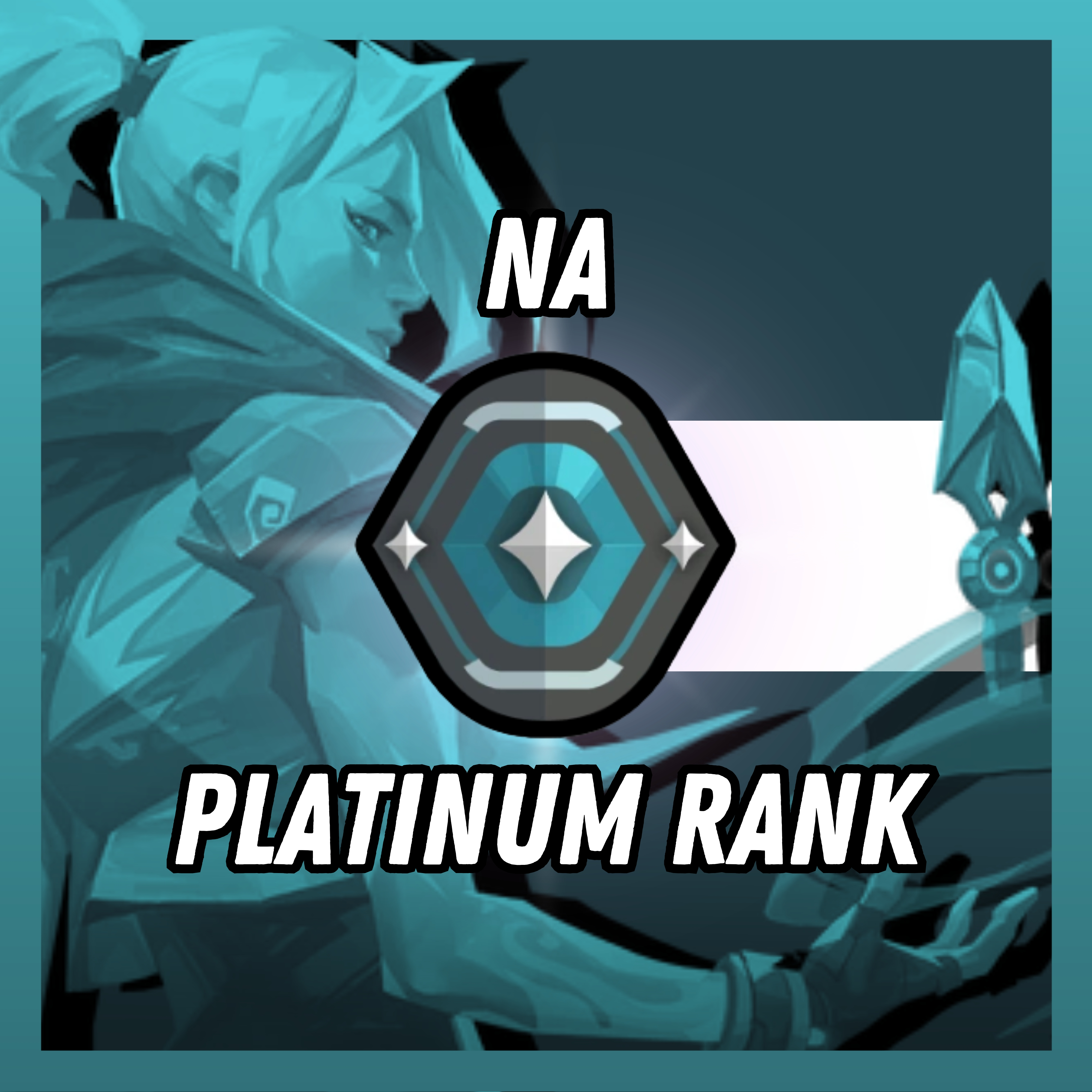 V25 ACT3-NA | PLATINUM RANKED | Smurf account | Level 20 | Can Change Data | Fast delivery