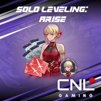 Cha Hae-In's Costume Pack - Netmarble account only