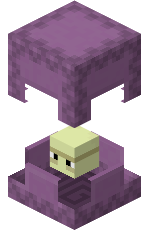 Full Shulker of Skeleton Spawner