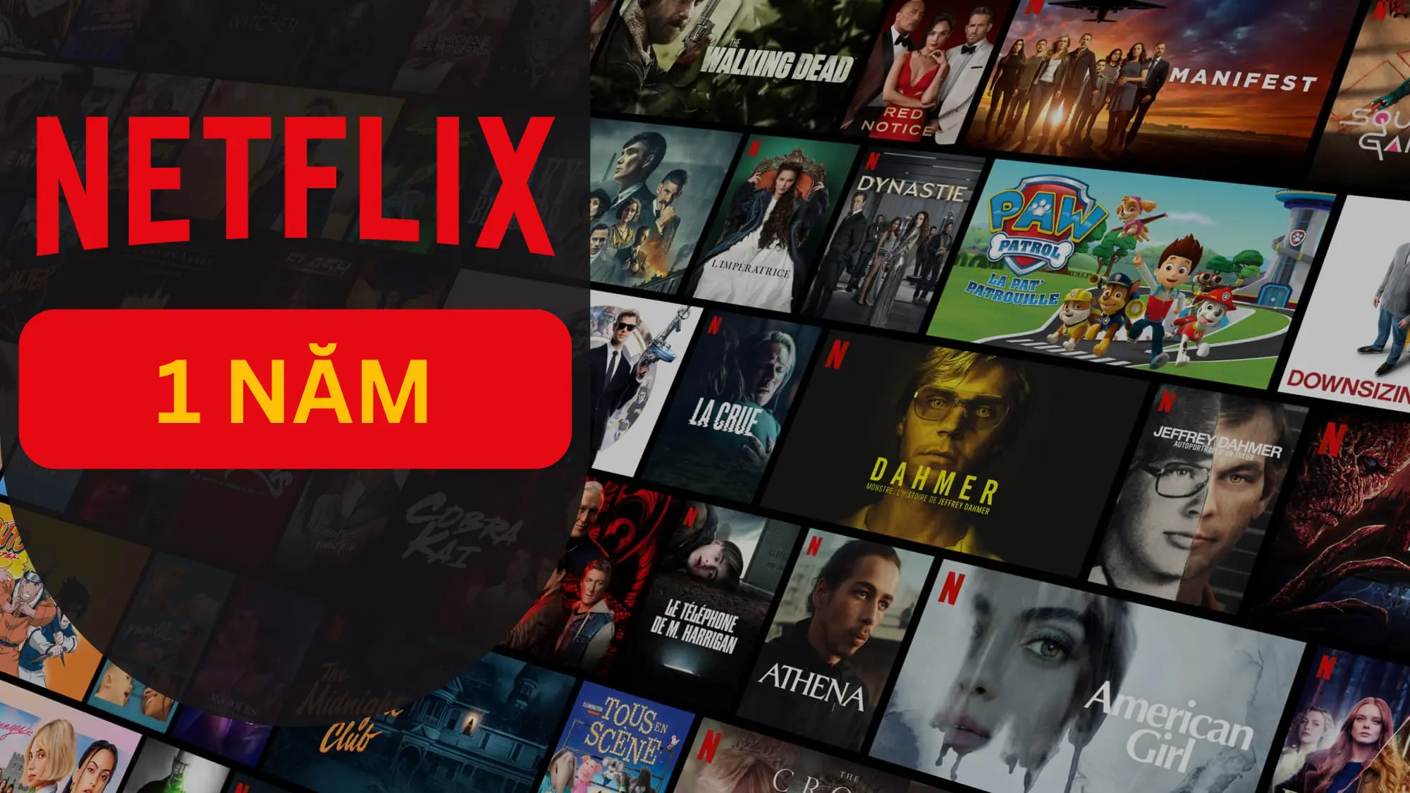 Tài khoản Netflix Premium 4K 1 Năm