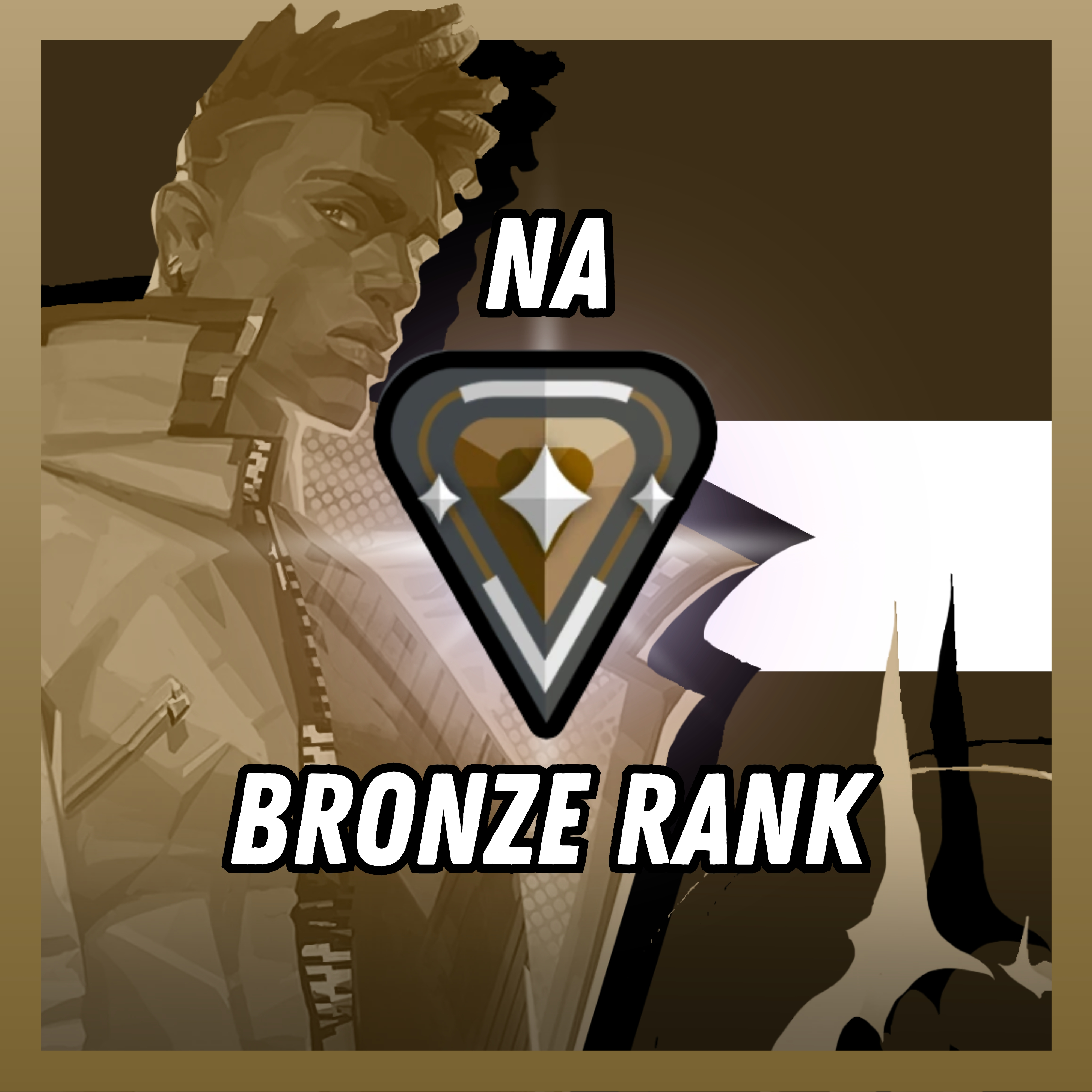 V25 ACT6-NA | BRONZE RANKED | Smurf account | Level 20 | Can Change Data | Fast delivery