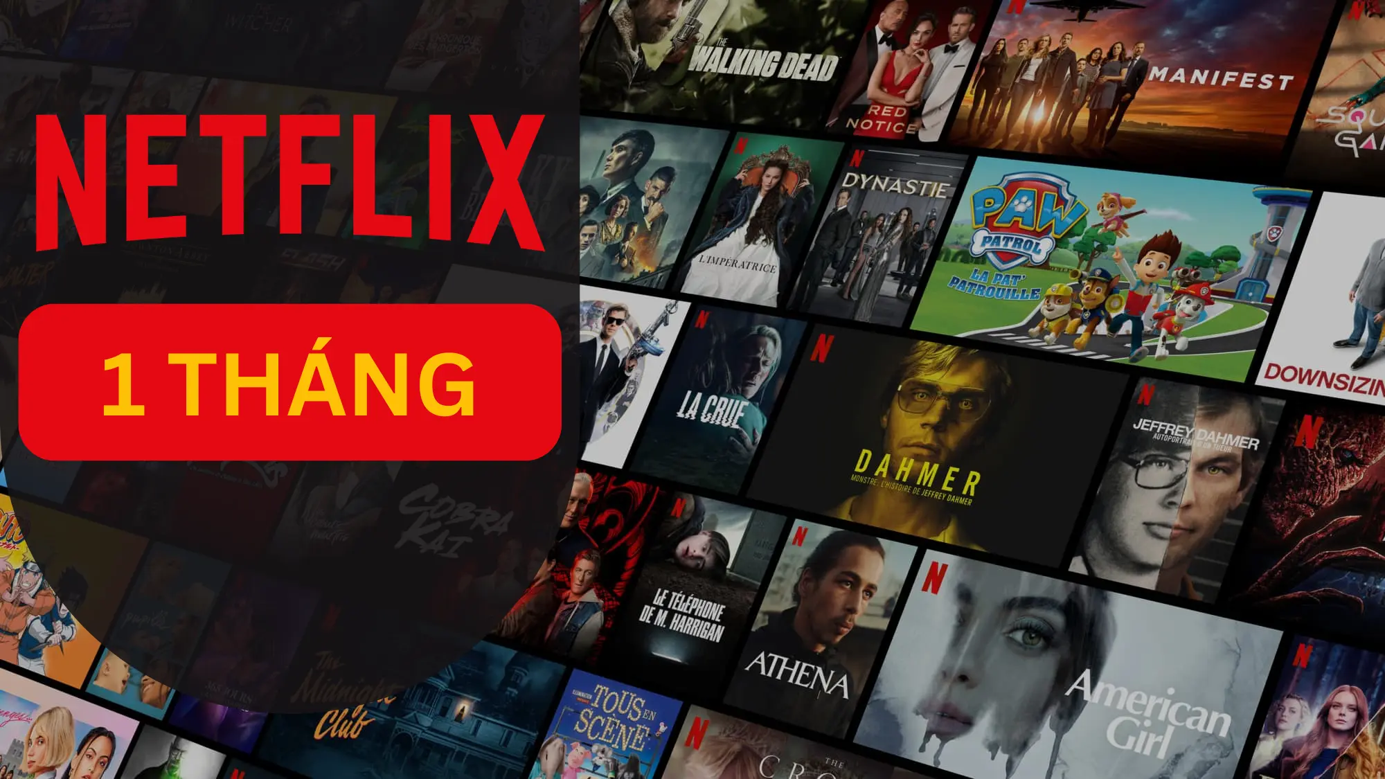 Tài khoản Netflix Premium 4K 1 Tháng