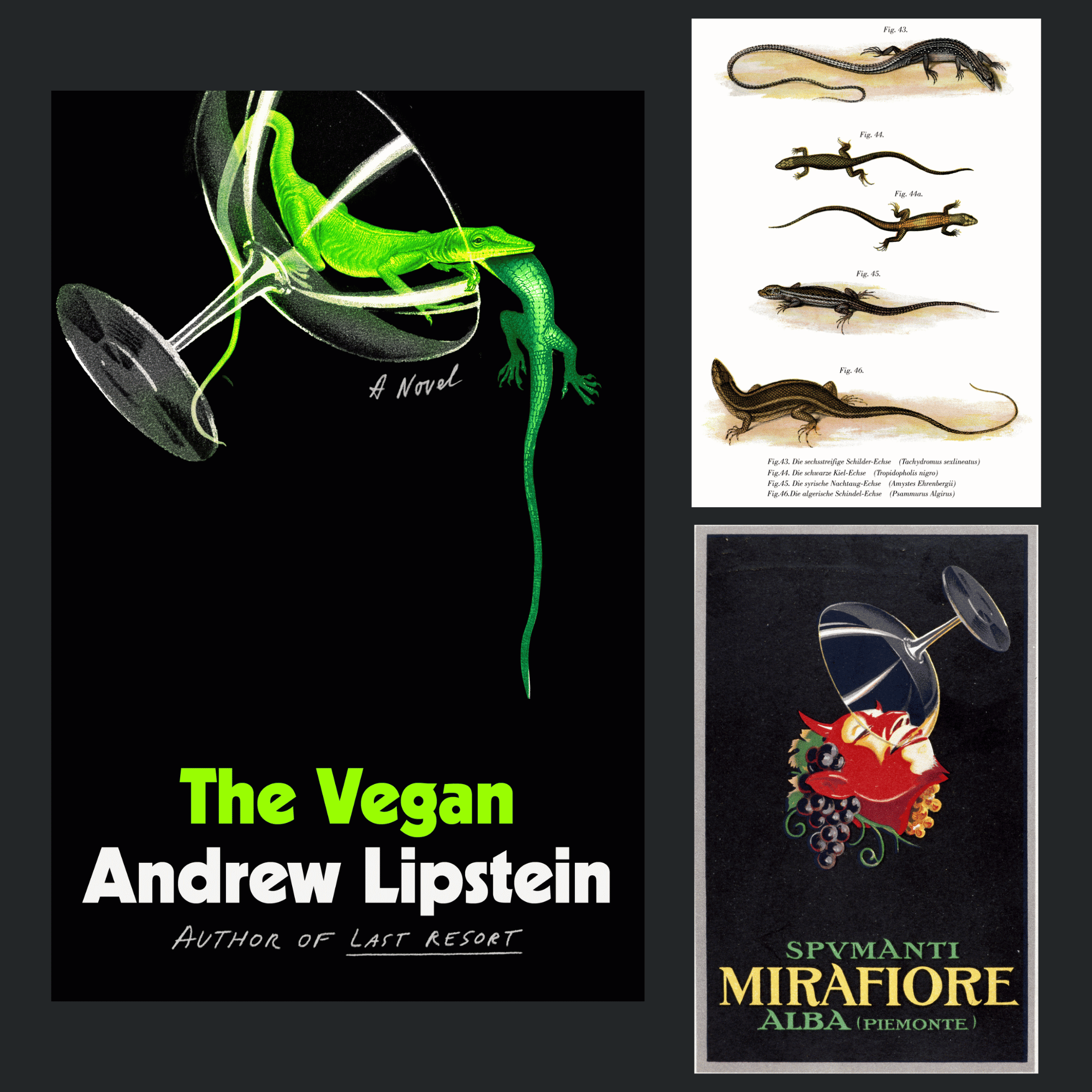 Buchcover von "The Vegan" inklusive der Bilder, die für das Cover verwendet wurden
