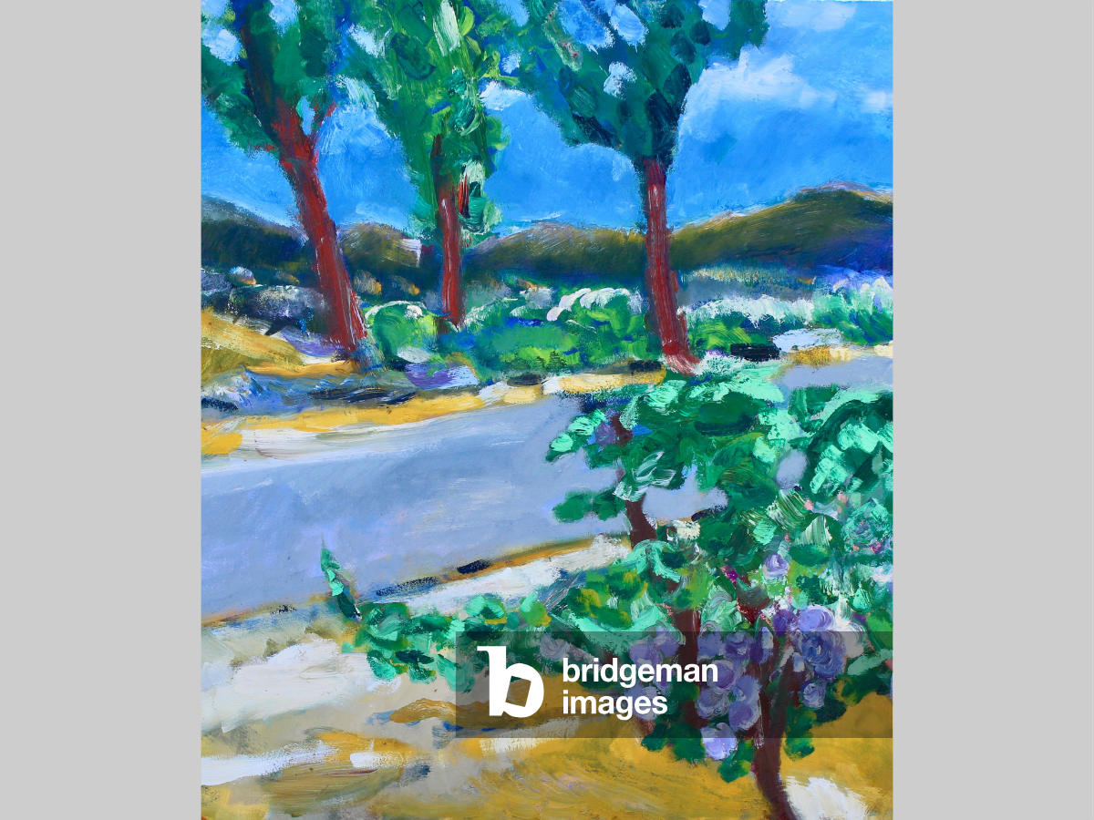 road with trees in oil