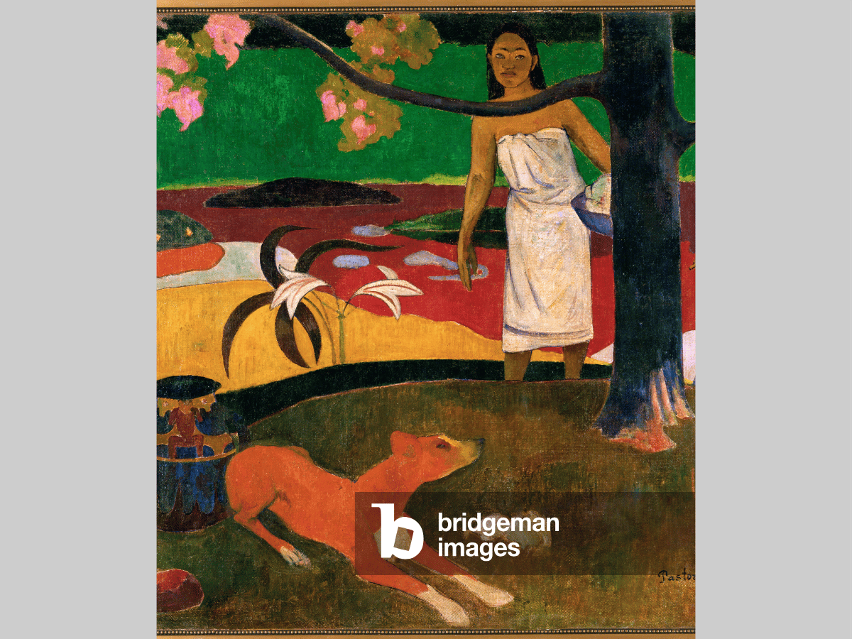 woman with dog under tree