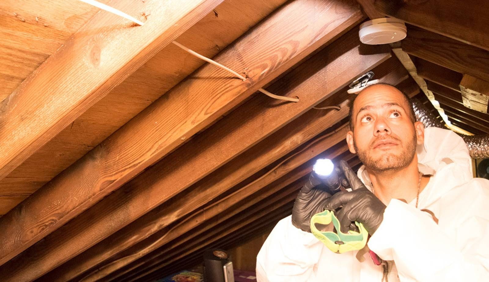 A certified Mastertech Environmental technician conducting a thorough mold inspection in a Virginia Beach home.