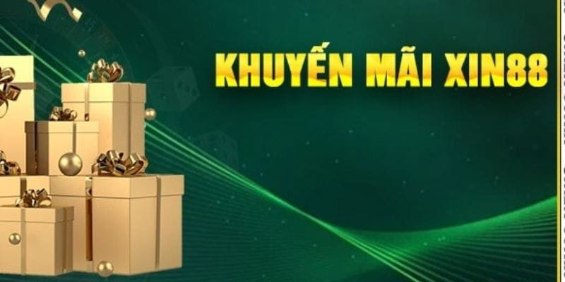 Khuyến mãi thành viên VIP – Đặc quyền hấp dẫn dành riêng cho người chơi đẳng cấp 3 800