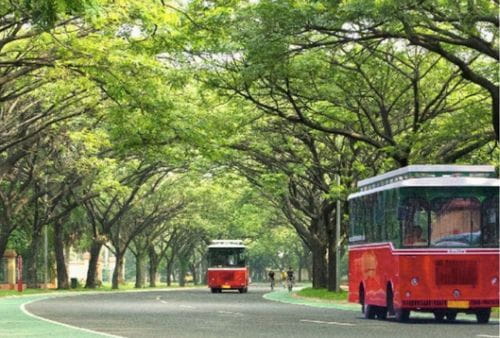 Green tunnel Alam Sutera