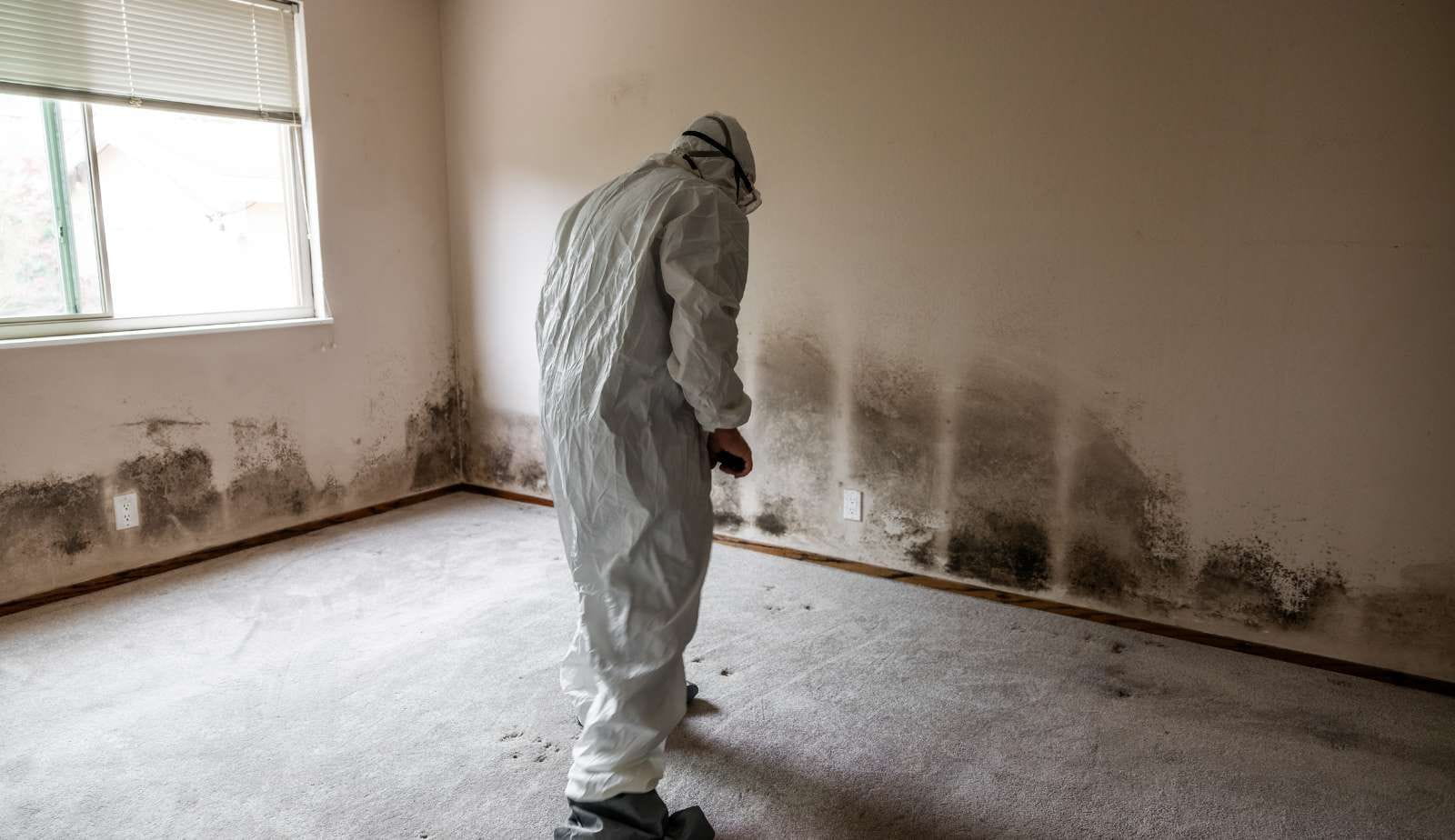 A Mastertech Environmental technician inspecting a home for mold during winter, emphasizing the importance of professional remediation.