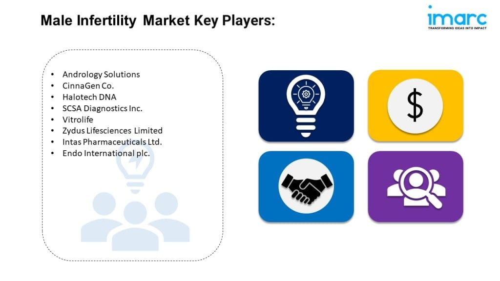 Male Infertility Market Report