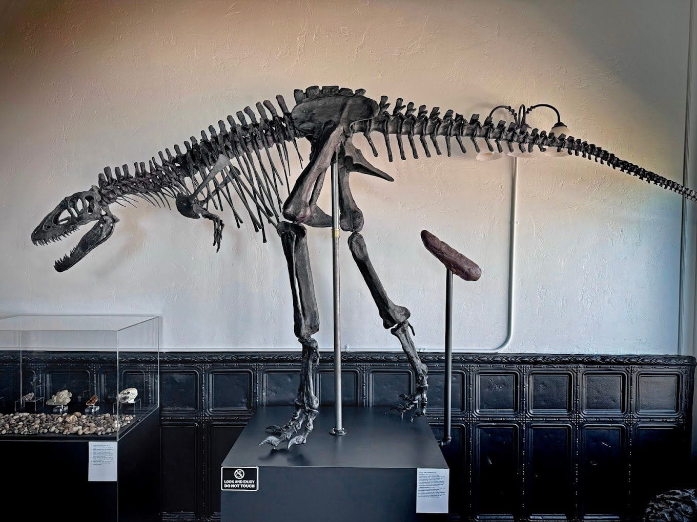 dinosaur skeleton with coprolite behind its rear end