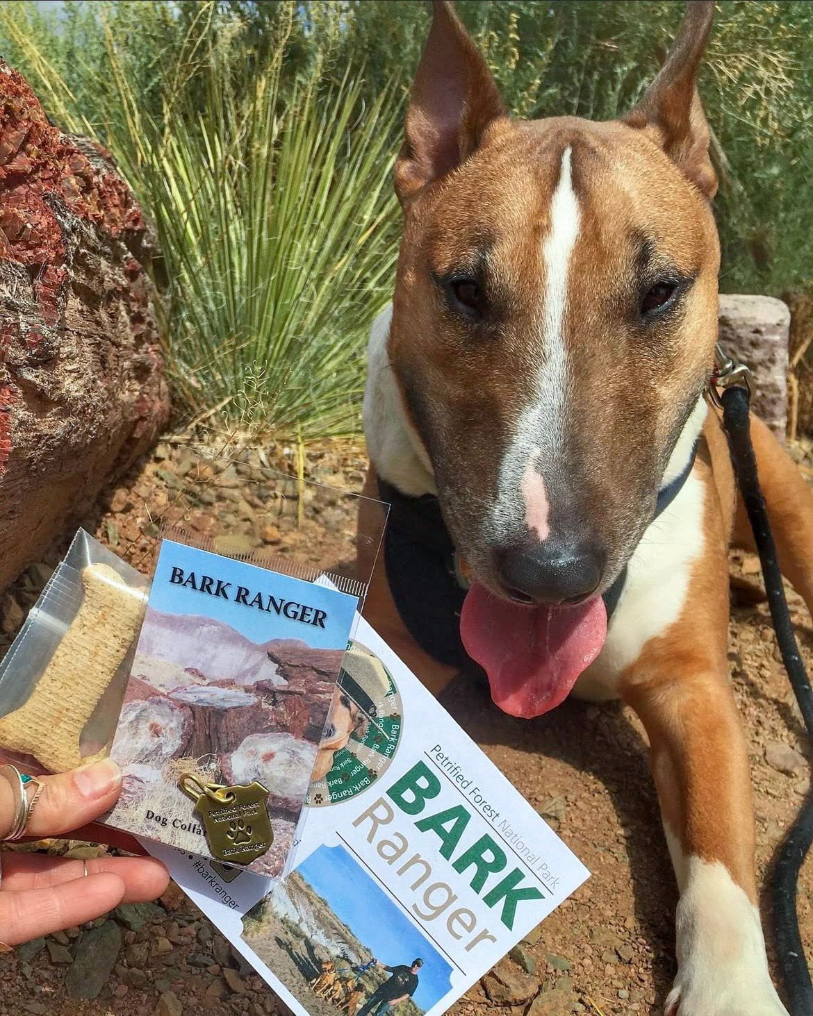 Picture of dog with treat and BARK ranger certification