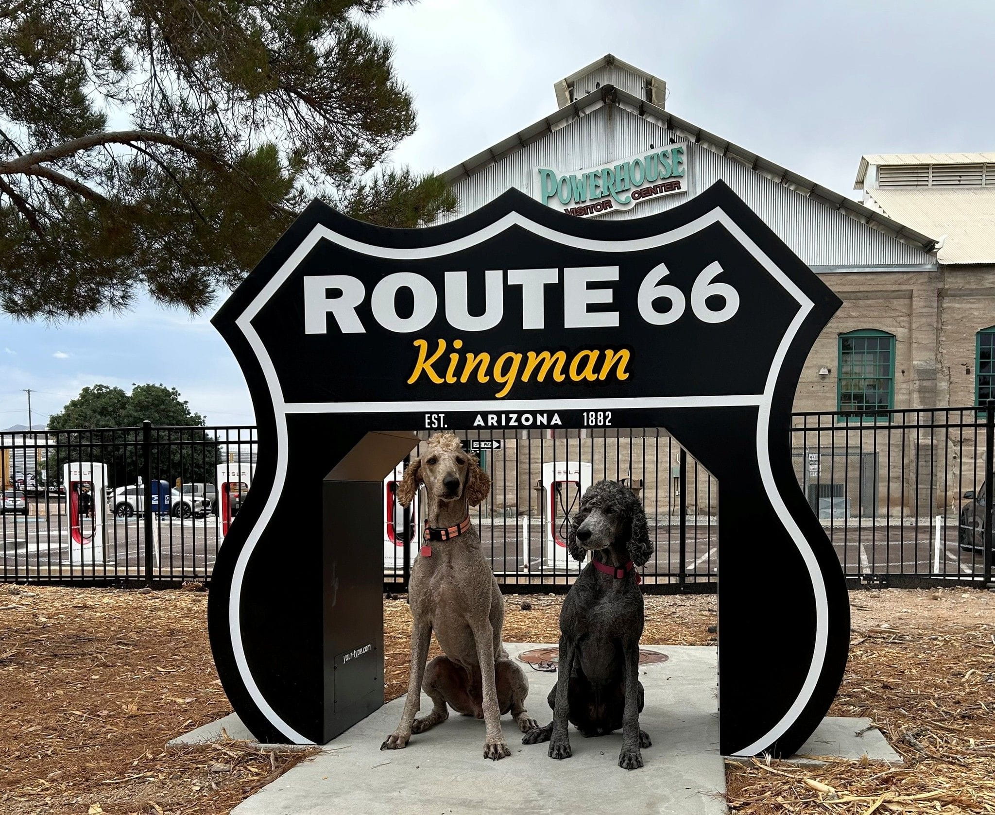 two dogs under a miniature Route 66 walk thru shield
